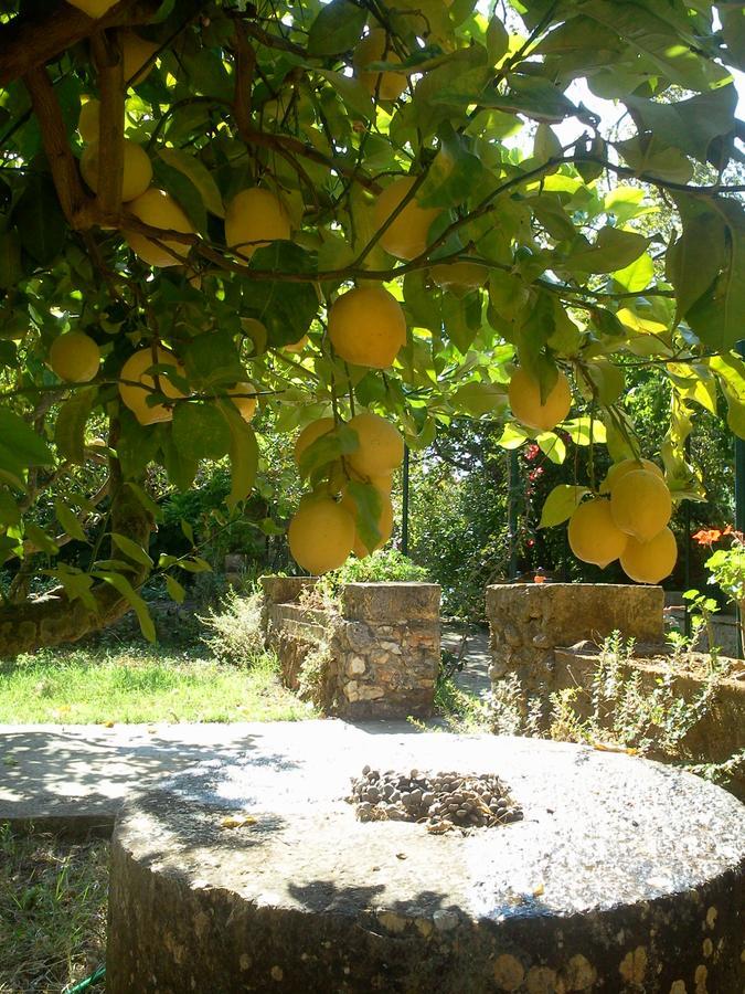 Gentilini Retreat Ξενοδοχείο Αργοστόλι Εξωτερικό φωτογραφία